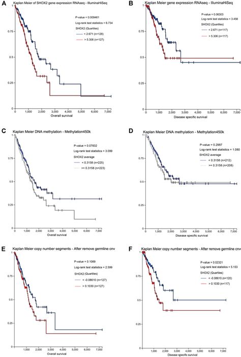 Frontiers Analysis Of The Prognostic Value And Gene Expression