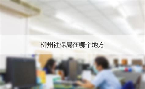 柳州社保局在哪个地方 柳州市社会保险缴费比例 Hr学堂【桂聘】