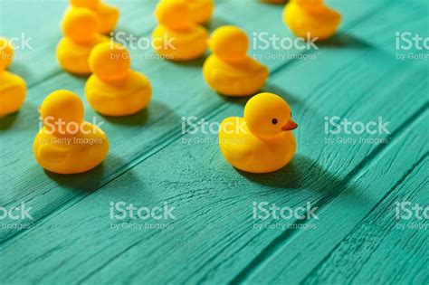 A Group Of Yellow Rubber Ducks Traveling In One Direction With A Lone