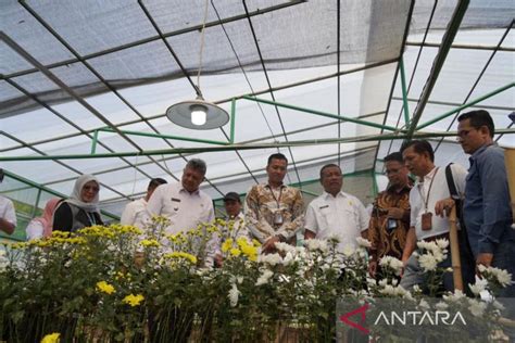 Wako Solok Apresiasi Pln Peduli Kembangkan Agrowisata Batu Patah Payo