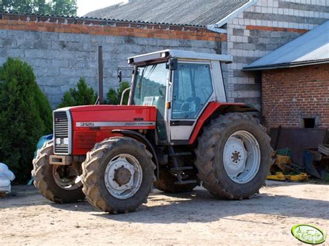 Obraz ciagnik Massey Ferguson 3125 id:253206 - Galeria rolnicza agrofoto