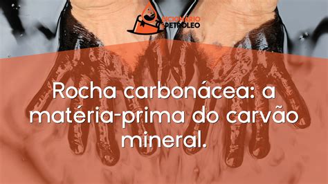 Rocha Carbon Cea A Mat Ria Prima Do Carv O Mineral