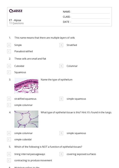 Tissues Worksheets For Th Class On Quizizz Free Printable