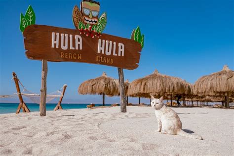 Hula Hula Island Und Orange Bay Tour Mit Schnorchelstopp Hurghada