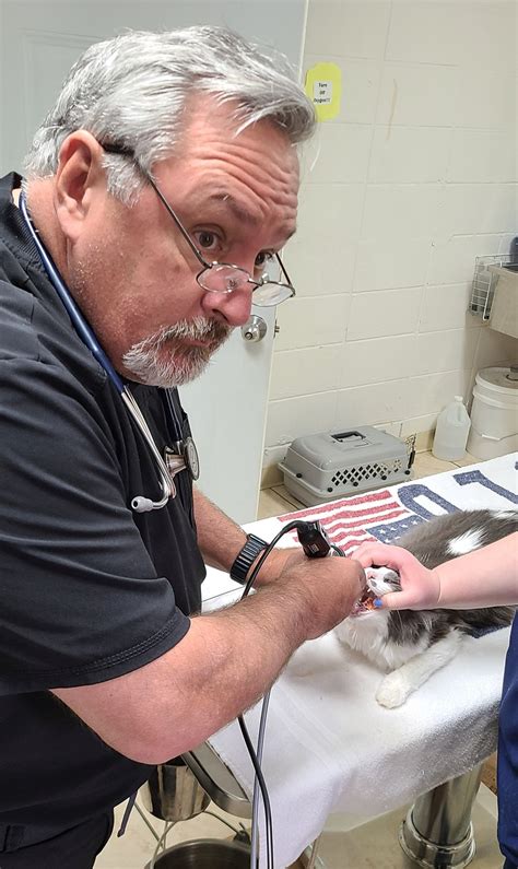 bryan animal shelter 1