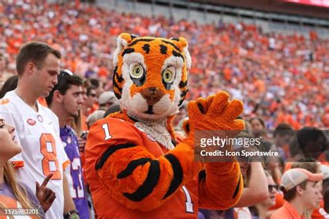 Clemson Mascot Photos and Premium High Res Pictures - Getty Images