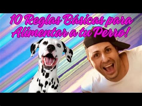 10 Reglas Básicas para Alimentar a tu Perro YouTube