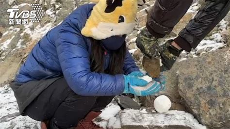 合歡山凌晨下雪了！ 武嶺成「銀白」世界