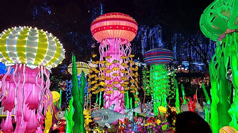 Luminosa Festival of Lights coming to Jungle Island - Park World Online ...