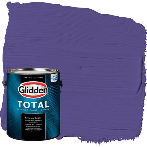 Eggplant Color Paint