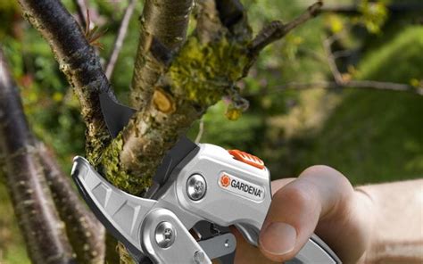 Κλαδευτήρι Gardena 8798-20 - Agroprisma