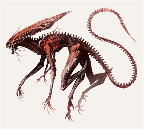 Alien Queen Xenomorph Alien