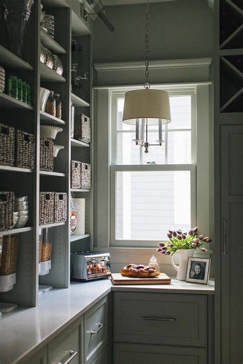 Green Gray Pantry Shelves With Picture Lights Transitional Kitchen