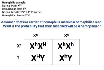 Sex Linked Traits Editable By Miss Epic S Science Spot Tpt