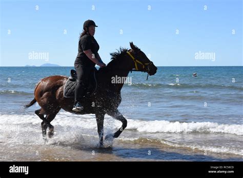 Horse riding on the beach Stock Photo - Alamy