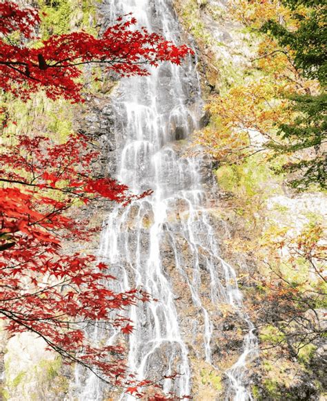 Exploring the Hidden Beauty: 10 Waterfalls in Japan - Your Free Travel Guide