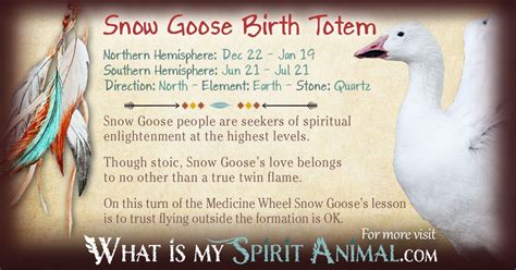 Snow Goose Totem Native American Zodiac Signs And Birth Signs