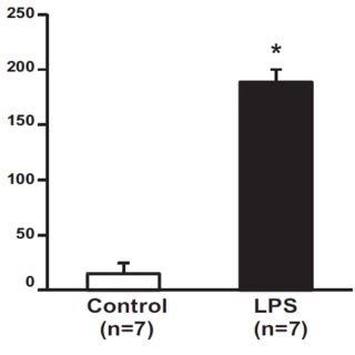 Effect Of Lps On Serum Creatinine Tnf And Ngal Serum Creatinine