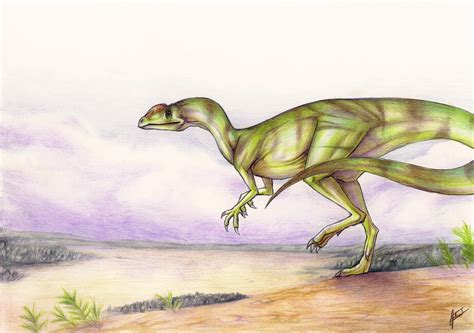 Liliensternus was a carnivore. It lived in the Triassic period and ...