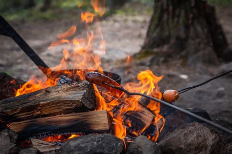 Lagerfeuer Finnland Lappland Kostenloses Foto Auf Pixabay