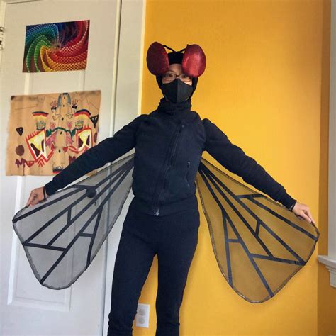 DIY Supa Fly: make a house fly costume – Sophy S. Wong, MD