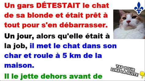 Un gars essaie de se débarrasser du chat de sa blonde