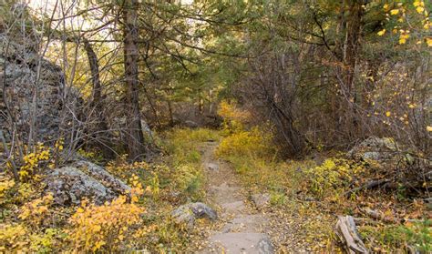 Bear Canyon | City of Boulder