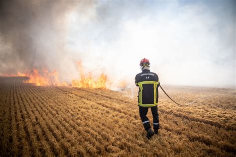 Incendie à Rouans deux hectares de champ de blé en feu