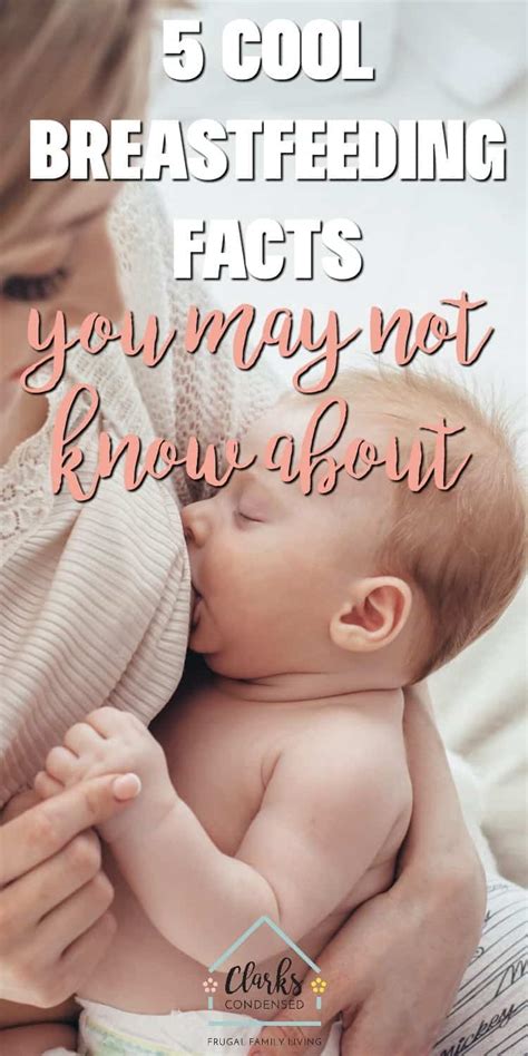 Cool Breastfeeding Facts You May Not Know About The