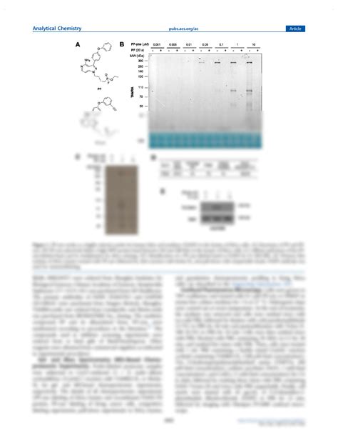 Fatty Acid Synthase 4