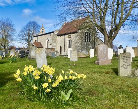 Cemetery Flowers Graves - Free photo on Pixabay - Pixabay