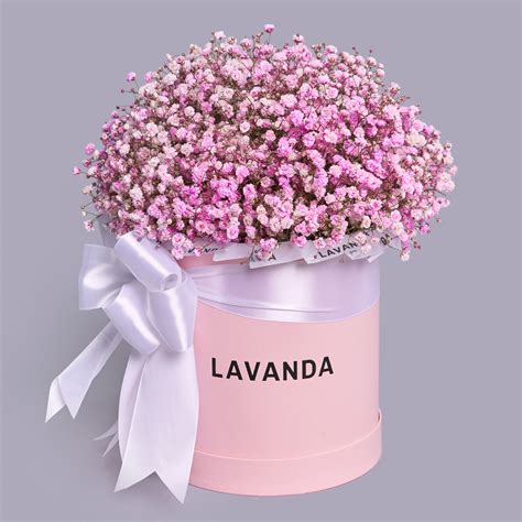 Розовые гипсофилы в розовой коробке - купить с доставкой в Омске - LAVANDA