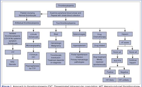 Thrombocytopenia Management