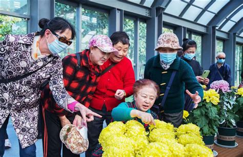 爱在冬至，情暖侨心——南通市崇川区新城桥街道侨友踏秋正当时 南通市侨联