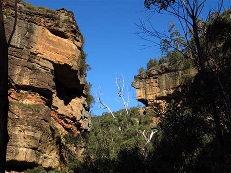 Grand Canyon Track Aussie Bushwalking