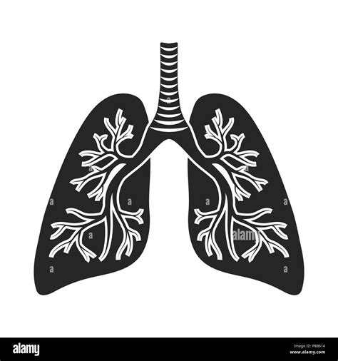 Lungs Icon In Black Style Isolated On White Background Organs Symbol