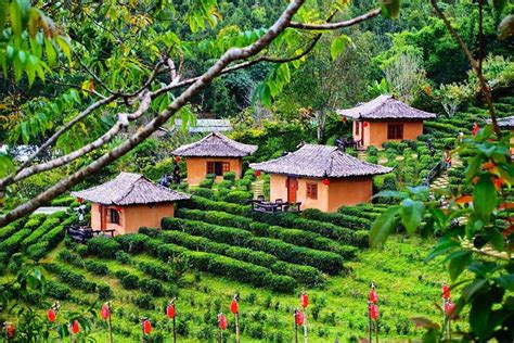 Ban Rak Thai Mae Hong Son Thailand Living Nomads Travel Tips