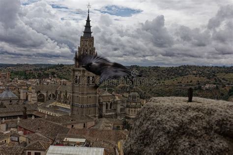 Toledo Spain Crow Takes Off From San Idelfonso Church Stock Photo