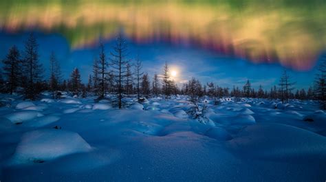 Winter Aurora Borealis Wallpapers | HD Wallpapers | ID #19672