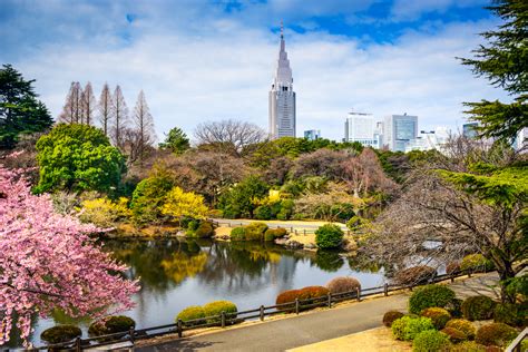 【東京】新宿御苑の楽しみ方見所とアクセス方法を紹介！四季折々の自然を都心で楽しむ おすすめ旅行を探すならトラベルブックtravelbook