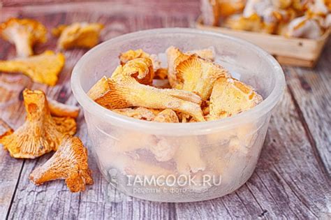 Заморозка лисичек — рецепт с фото пошагово. Как заморозить лисички на зиму?