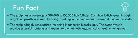 Layers of Scalp: A Look Into the Entire Structure - HK Vitals