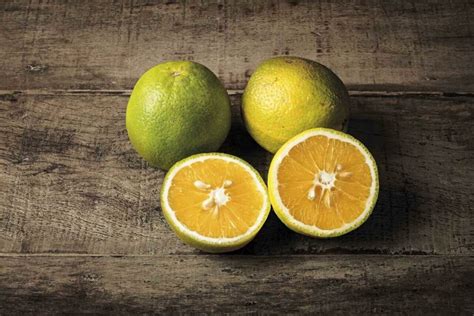 Descubra Se A Laranja Engorda Calorias Mitos E Benef Cios Nutricionais