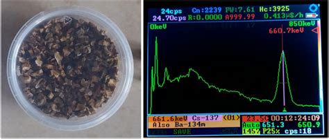 Cesium 137 Activity in Contaminated Soil | PhysicsOpenLab