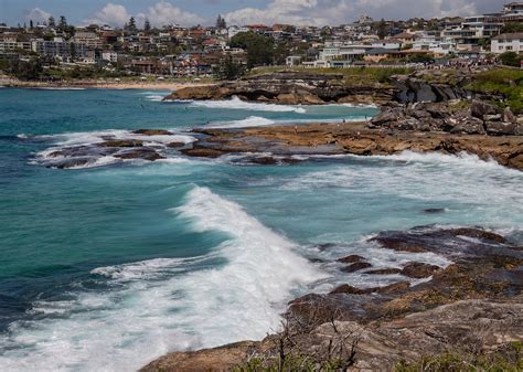 Catching Waves along the Bondi Tamarama Coastal Walk