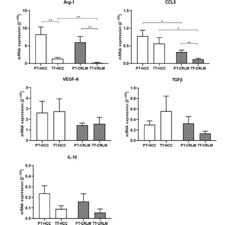 Intrinsic Tumor Features Modifying The Tumor Microenvironment Hcc Tme