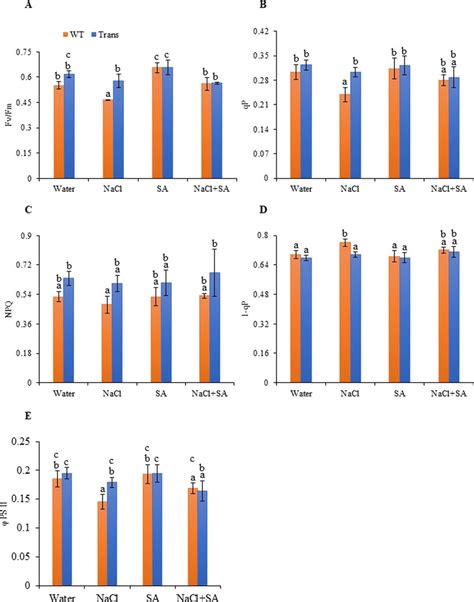 Analysis Of Chlorophyll Fluorescence Parameters A Fv Fm Ratio B