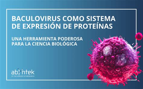 BAculovirus como sistema de expresión de proteínas Abyntek Biopharma