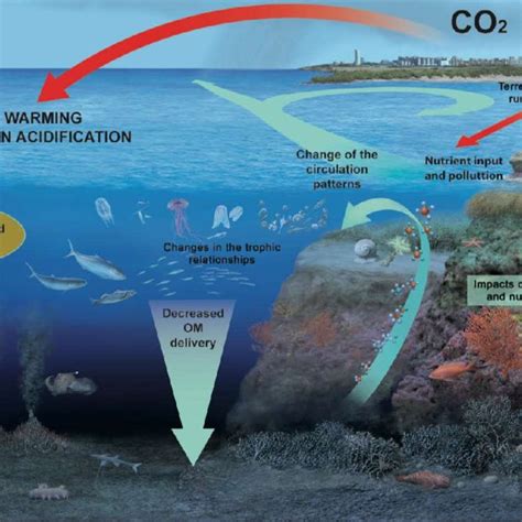 Figure SPM.6 | Climate change drivers potentially affecting marine ... 