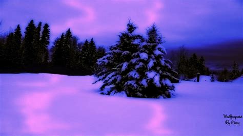 Winter Purple Wallpapers - Wallpaper Cave